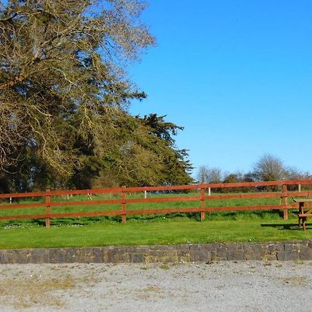 Sporting Lodge Shanagolden Limerick Junction Exterior foto